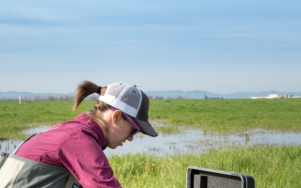 Western Spadefoot Toad Habitat Survey