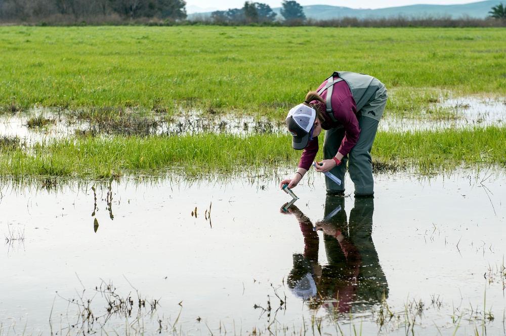 Western Spadefoot Toad Habitat Survey