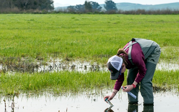 Western Spadefoot Toad Habitat Survey