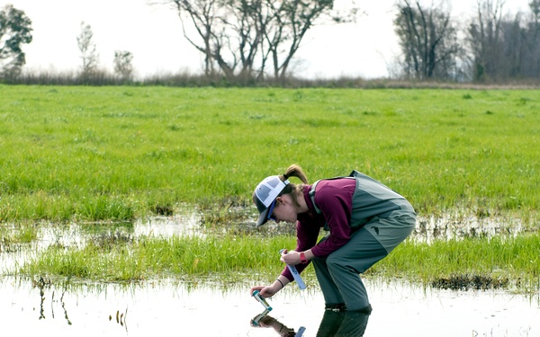 Western Spadefoot Toad Habitat Survey