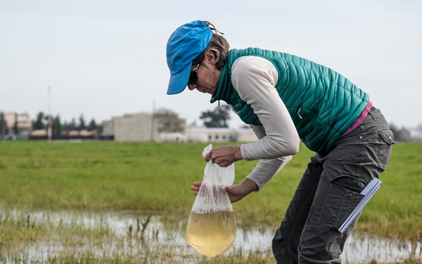 Western Spadefoot Toad Habitat Survey
