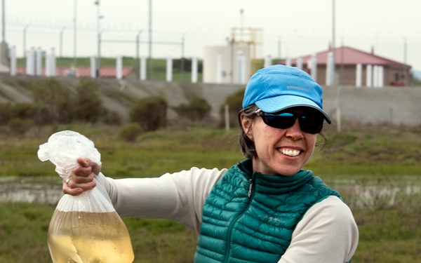 Western Spadefoot Toad Habitat Survey