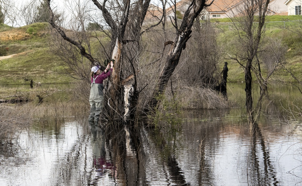 Western Spadefoot Toad Habitat Survey