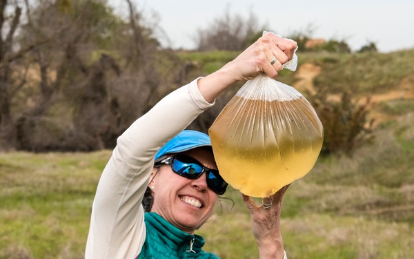 Western Spadefoot Toad Habitat Survey