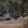 Two military multiple rocket launcher systems, consistent with M270 MLRS or similar tracked artillery vehicles, are positioned at the edge of a wooded treeline in what appears to be a training or operational field environment. The vehicles are painted in olive drab/military green and have rocket pod launchers visible on their upper decks. At least one uniformed soldier is visible manning a position on the lead vehicle.