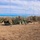 A military field command post or communications site is being established in an open dry grassland area. Multiple tall antenna masts with guy-wires are erected around a camouflage-patterned military tent structure, with military vehicles and personnel visible. The setting appears to be a training exercise based on the organized, deliberate setup.