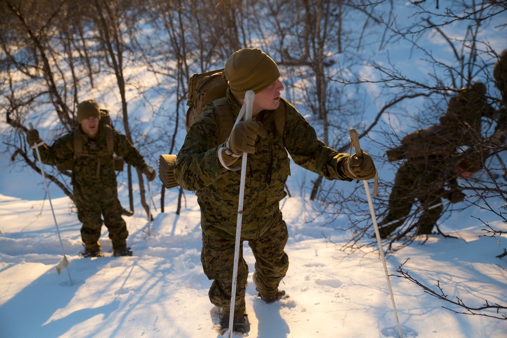 Marine Rotational Force Europe 17.1 conduct survival training