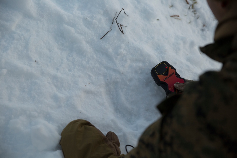 Marine Rotational Force Europe 17.1 Avalanche Drills