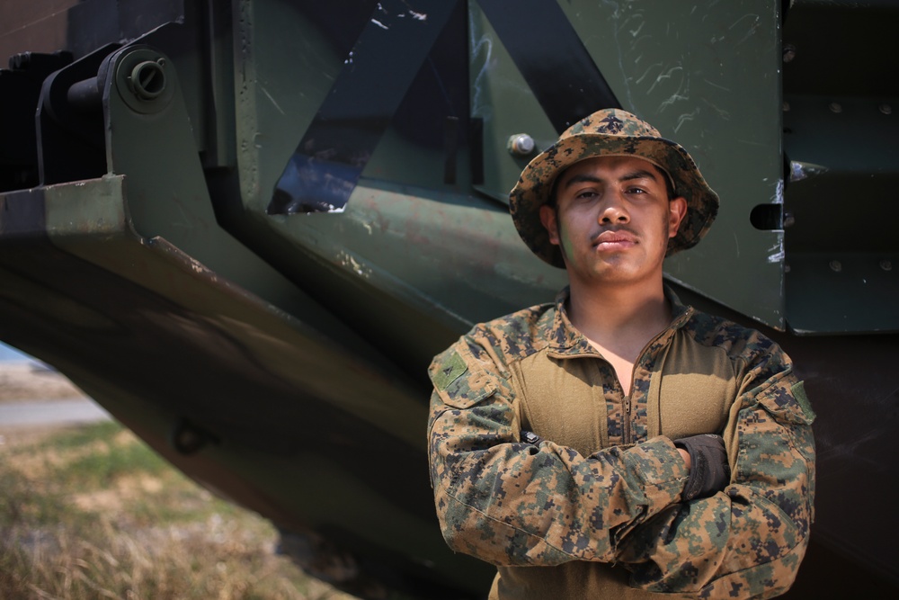 Participating Nations Of Cobra Gold Conduct an Amphibious Capabilities Demo