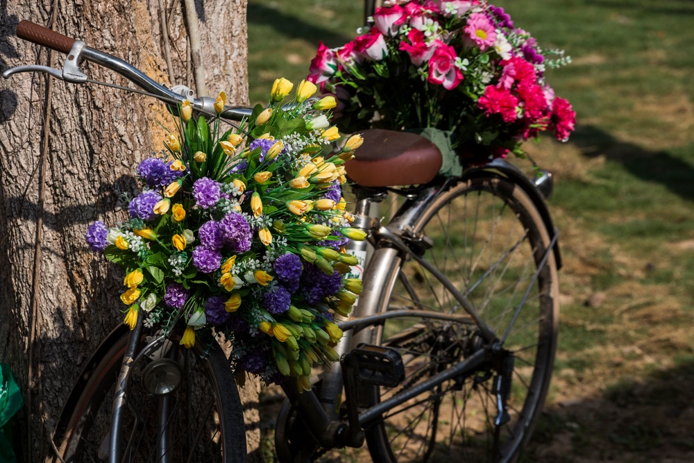 Site Dedication Ceremony/ Cobra Gold 2017