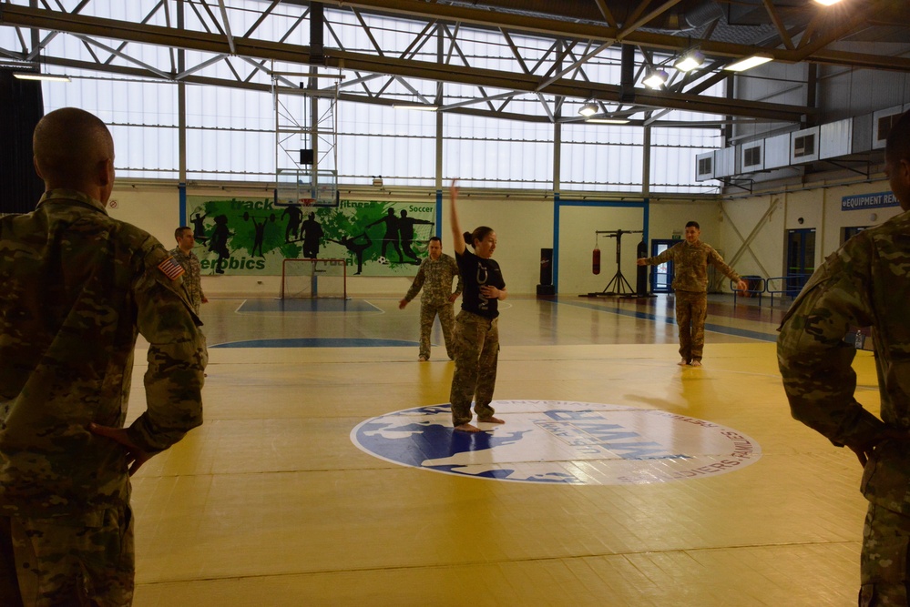AFNORTH Combative Level II Training