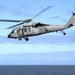 Sea Hawk takes flight