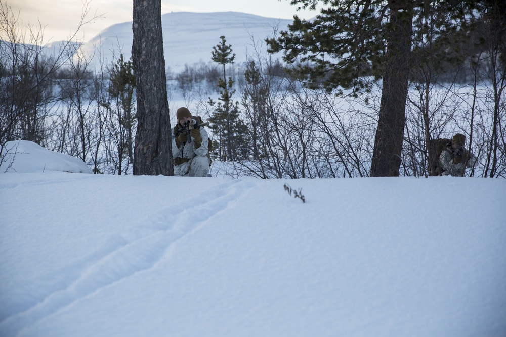 Marine Rotational Force Europe 17.1 conduct survival training