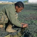 Food Service Field Feeding