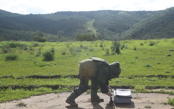 15th MEU bomb squad annihilates IED threat