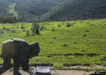 15th MEU's bomb squad annihilates IED threat