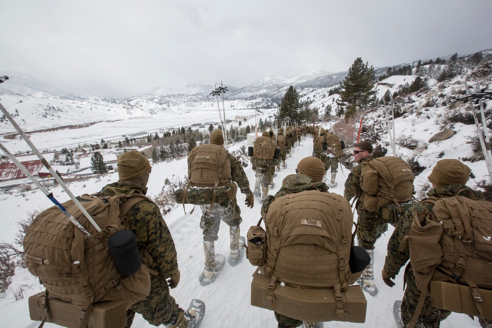 1st CEB Marines Hike During MTX 2-17