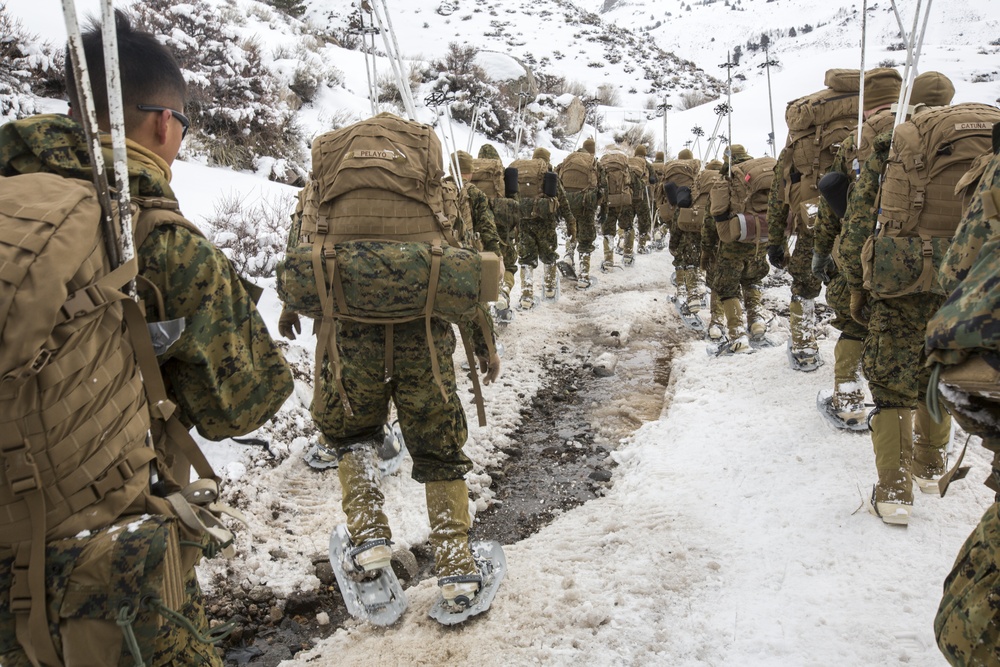 1st CEB Marines Hike During MTX 2-17