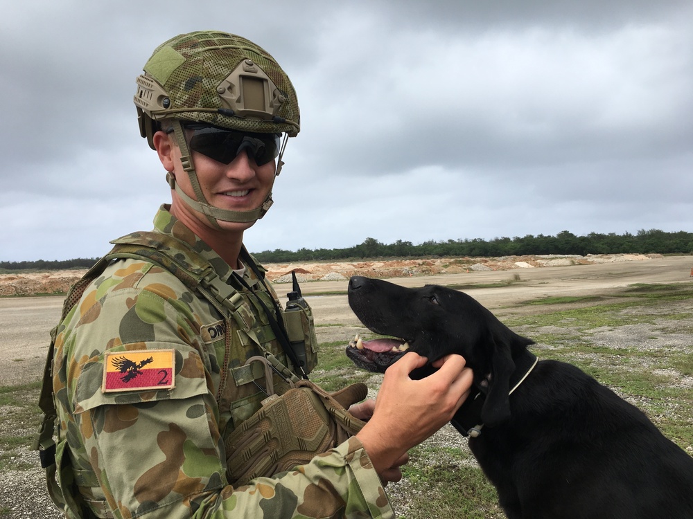COPE NORTH 17 Brings Aussies and their Dogs
