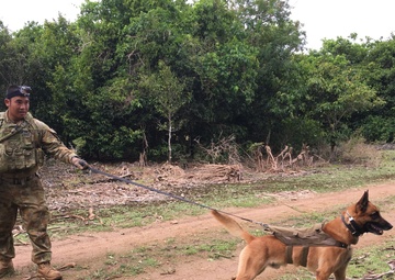 COPE NORTH 17 Brings Aussies and their Dogs