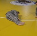 AFNORTH Combative Level II exercise
