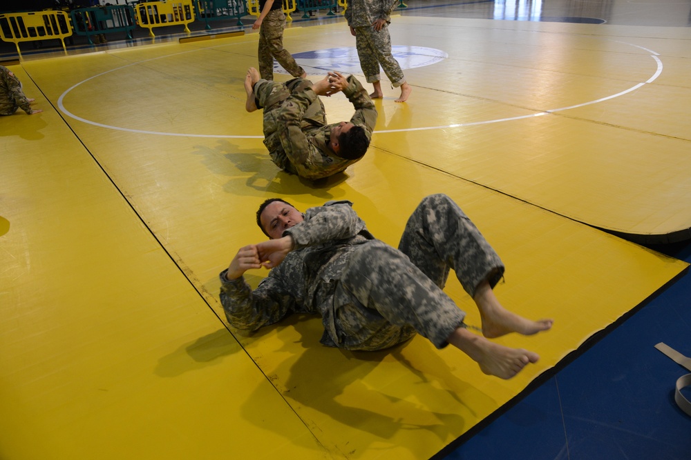 AFNORTH Combative Level II exercise