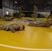 AFNORTH Combative Level II exercise