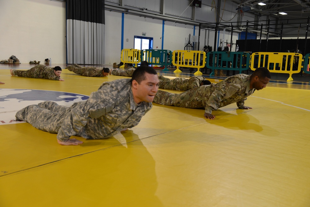 AFNORTH Combative Level II exercise