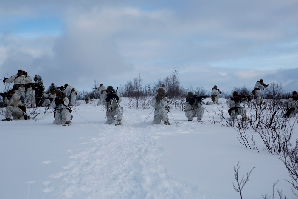 Marine Rotational Force Europe 17.1 conduct survival training