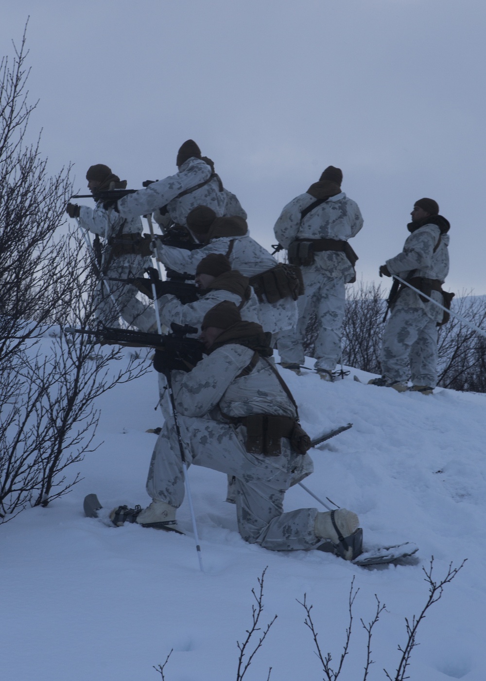 Marine Rotational Force Europe 17.1 conduct survival training