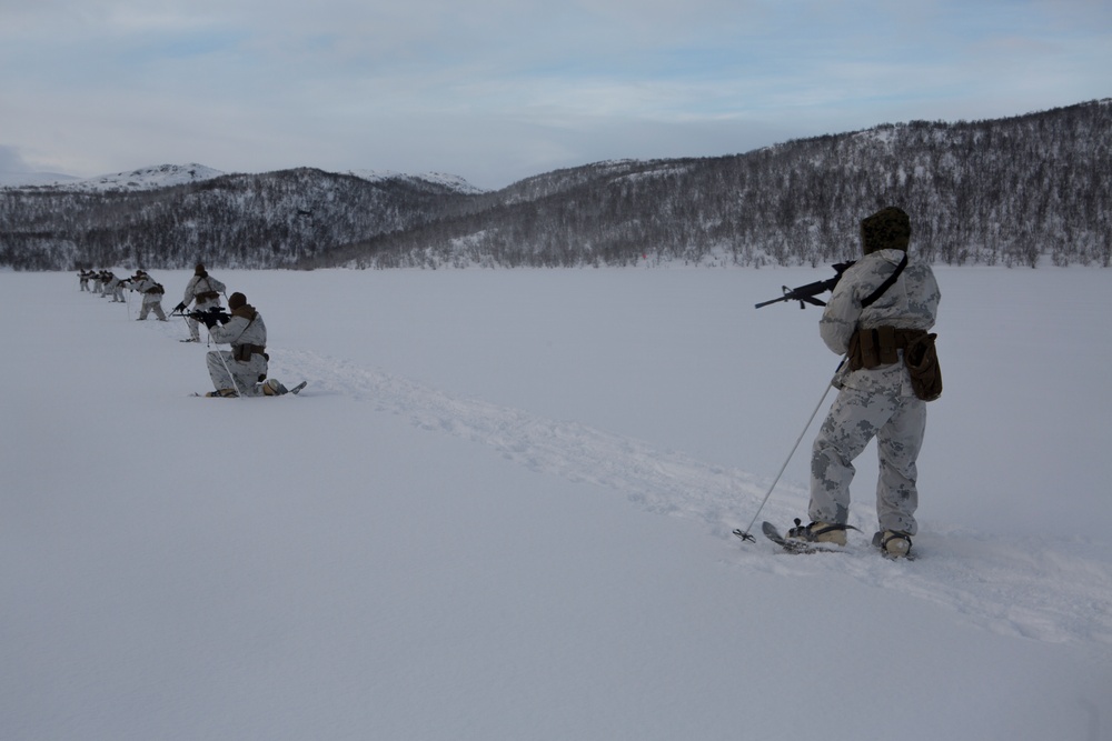 Marine Rotational Force Europe 17.1 conduct survival training