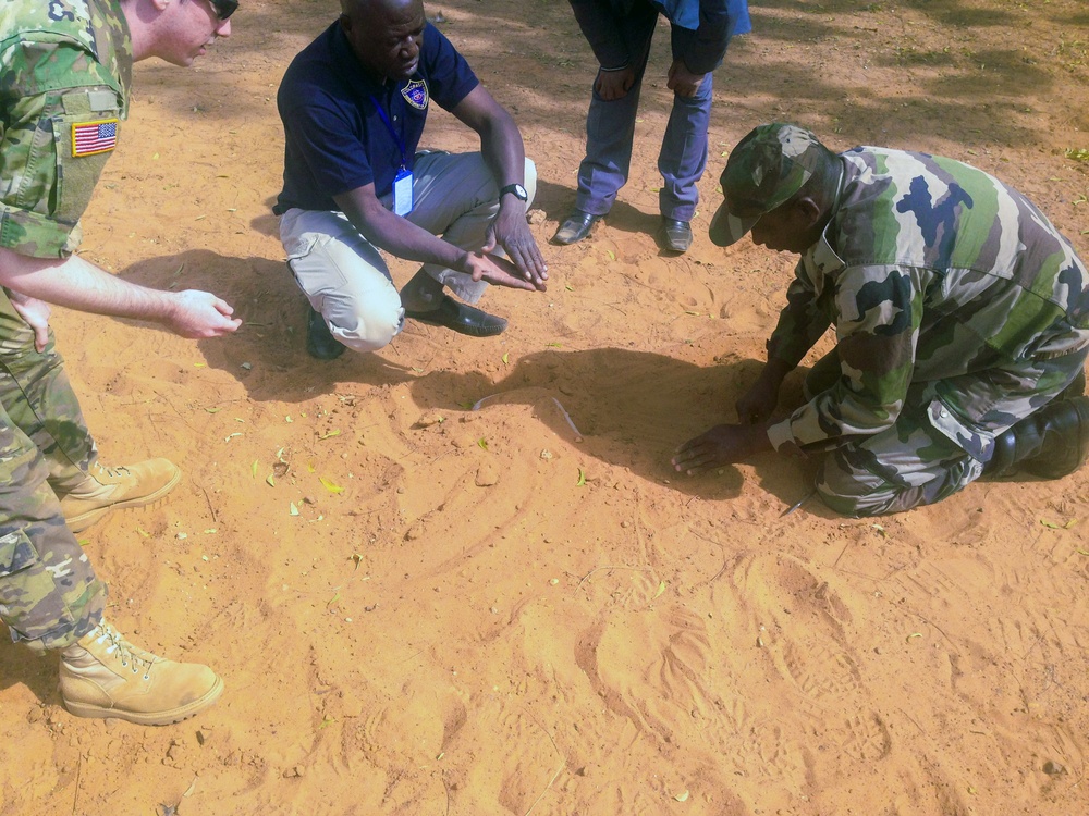 USARAF C-IED support Lake Chad Basin (LCB) partner nations by saving lives