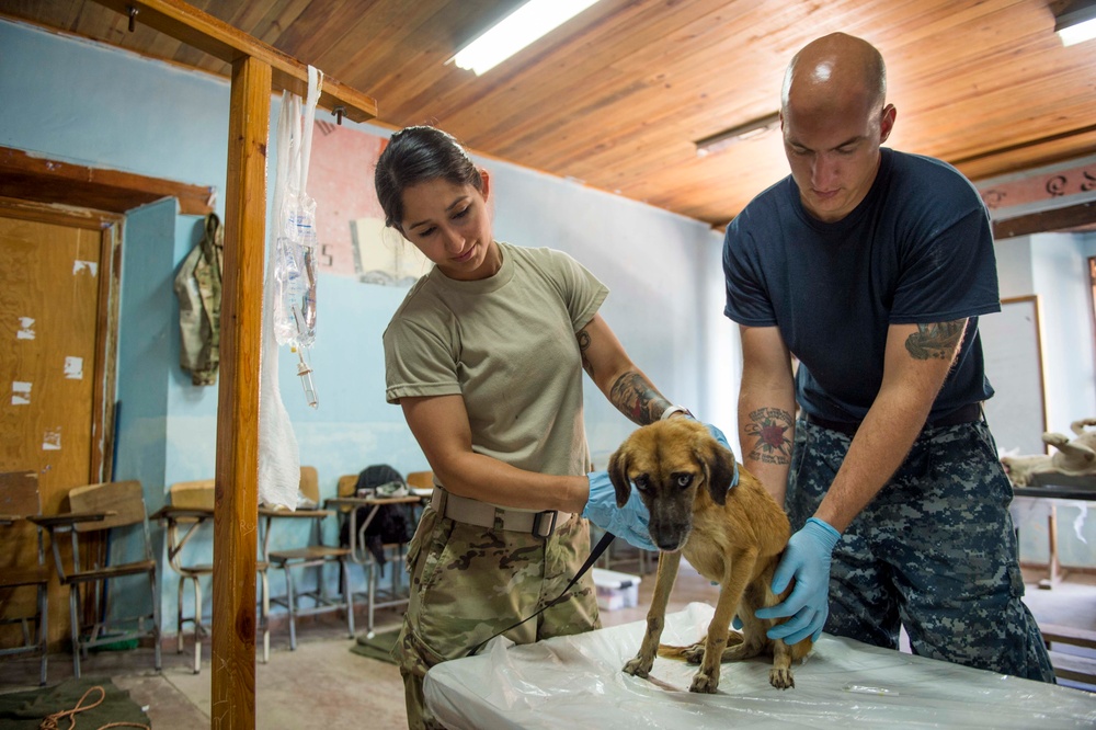 DVIDS - Images - Army Sgt. Katia Rivera, Culinary Specialist 2nd Class ...