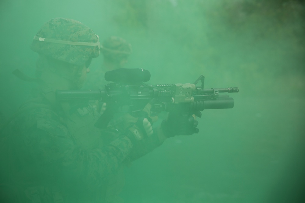 Task Force Southwest Marines complete Nonlethal Weapons Training