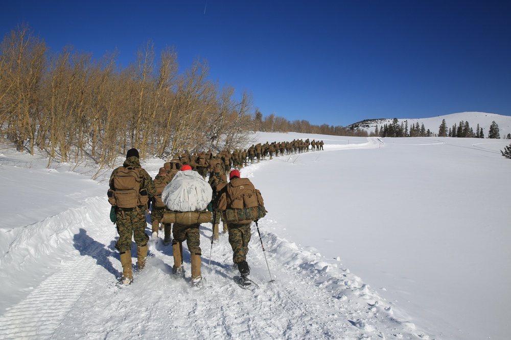 1st Combat Engineer Battalion “attacks” Mountain Training Exercise 2-17