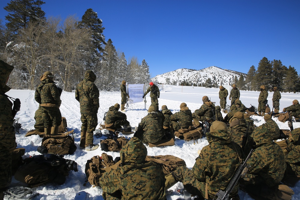 1st Combat Engineer Battalion “attacks” Mountain Training Exercise 2-17