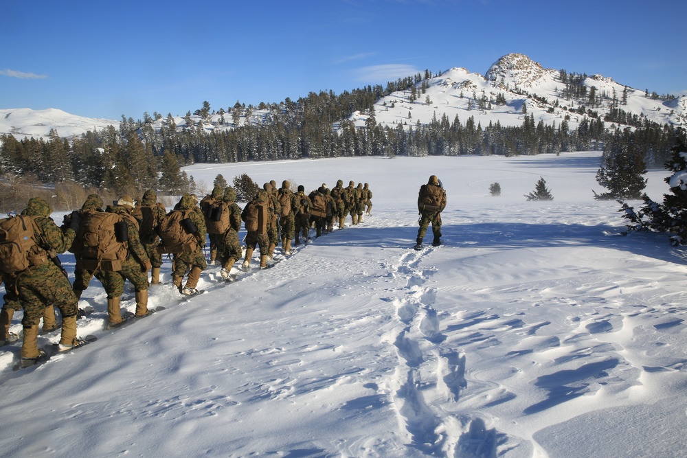 1st Combat Engineer Battalion “attacks” Mountain Training Exercise 2-17