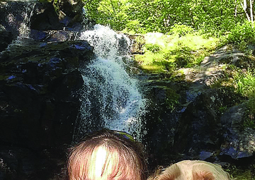 Lee spouse begins Appalachian Trail trip