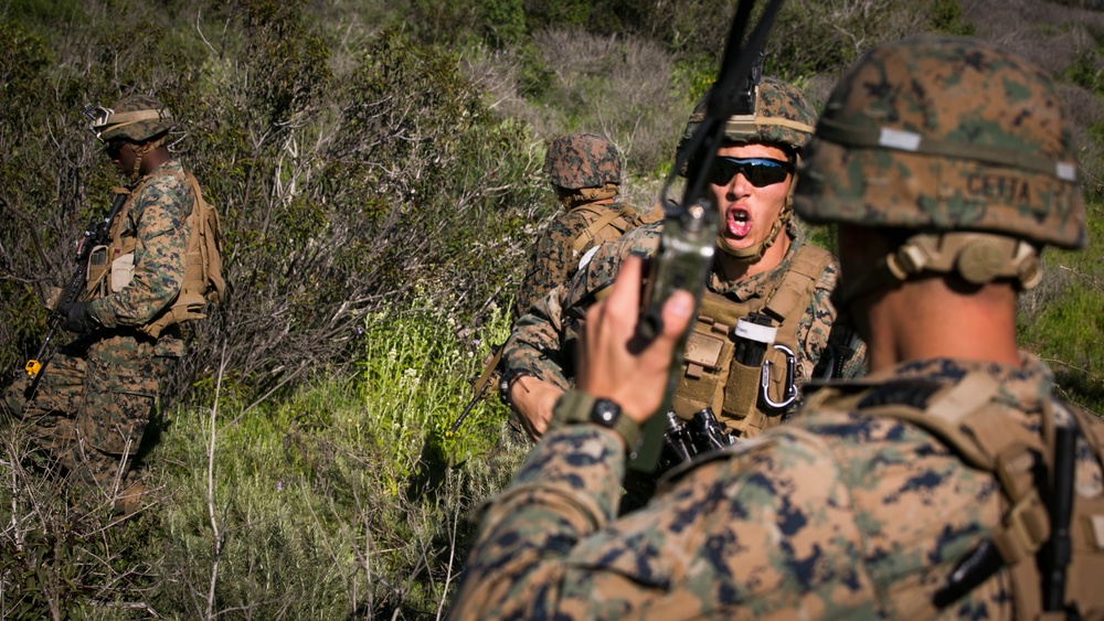 BLT gets TRAP SERE'd into training