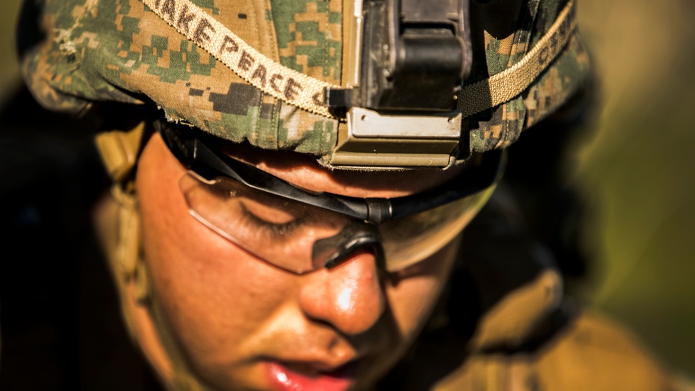 BLT gets TRAP SERE'd into training