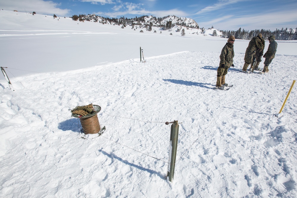 Marines set up tents in Grouse Meadows, MTX 2-17