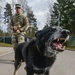 Military Working Dog practices Controlled Aggression