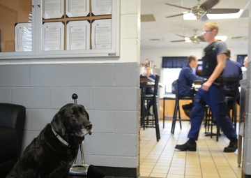 Rosie, Station Annapolis Mascot