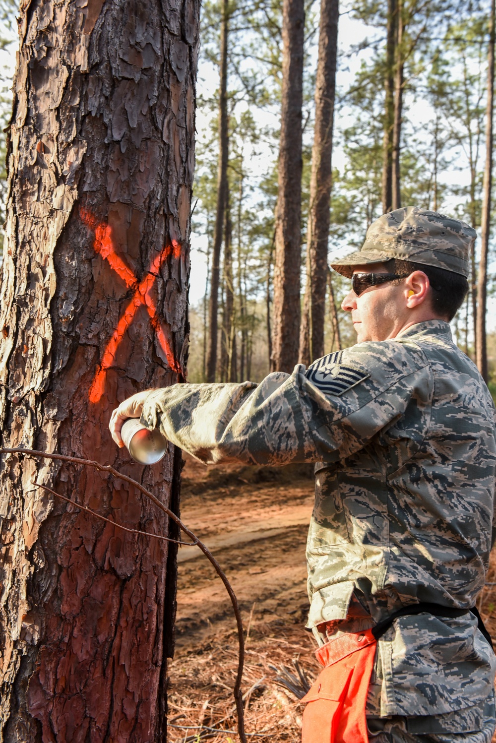 DVIDS Images 116th Civil Engineers assist in trail clearing in a