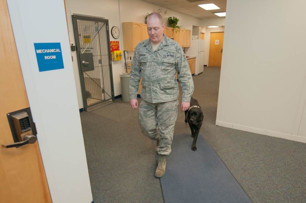 Licking their wounds: Trained dogs assist, comfort wounded Airmen
