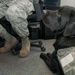Licking their wounds: Trained dogs assist, comfort wounded Airmen