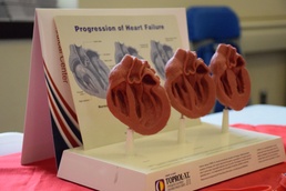 Heart failure clinic offers well-rounded patient experience