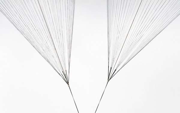 Rescue Squadron drops RZRs