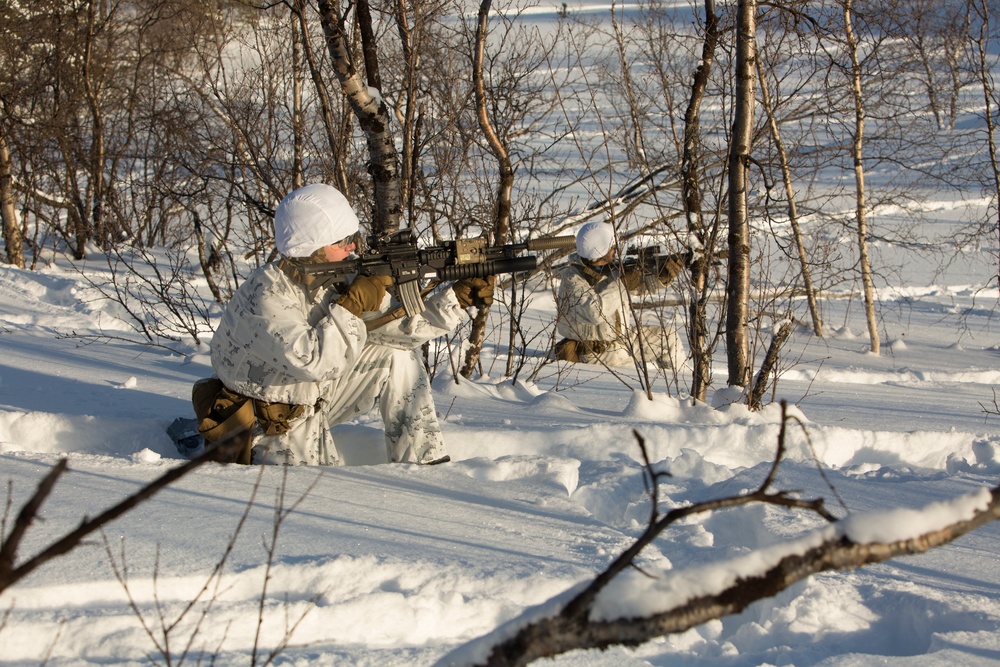 Marine Rotational Force Europe 17.1 conducts live fire ranges