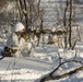 Marine Rotational Force Europe 17.1 conducts live fire ranges